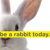 我 今天是隻兔子