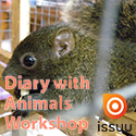 我的動物日記-松鼠  Diary With Animals : Squirrel