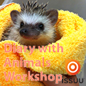 我的動物日記-刺蝟  Diary With Animals : Hedgehog