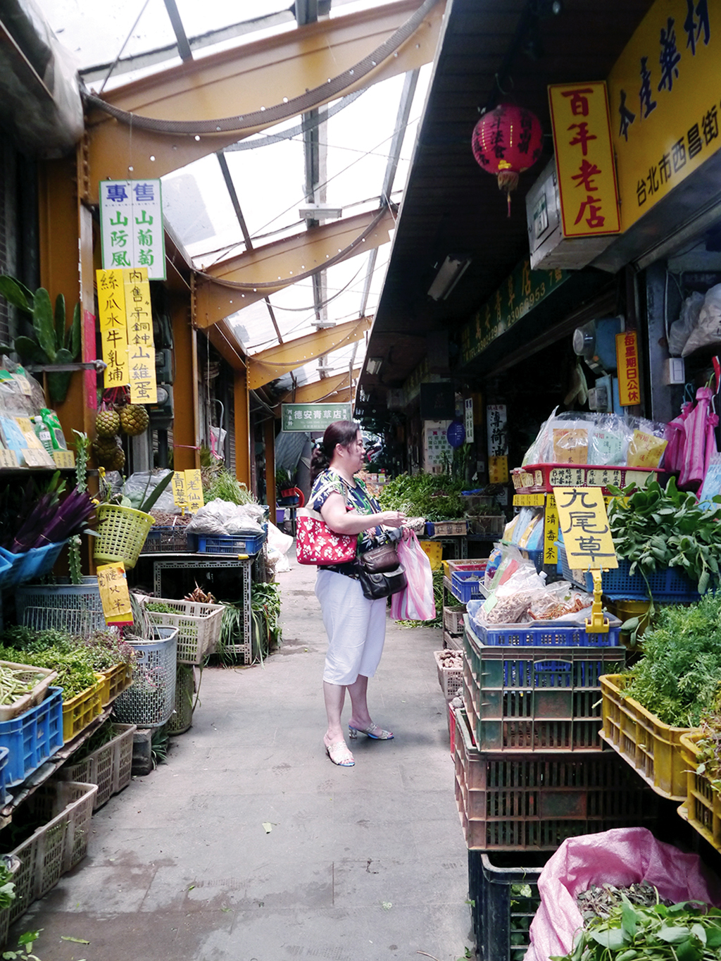 萬華製造,wanhua,青草振興,萬華青草,herb,Taipei,青草茶,herb alley,青草巷
