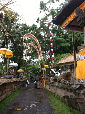 水越設計, 都市酵母, bali island, city yeast, travel, AGUA Design, agua