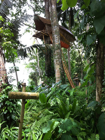 水越設計, 都市酵母, bali island, city yeast, travel, AGUA Design, agua