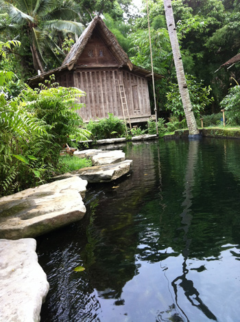 水越設計, 都市酵母, bali island, city yeast, travel, AGUA Design, agua