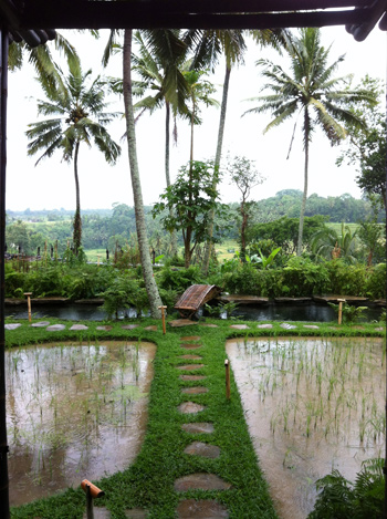 水越設計, 都市酵母, bali island, city yeast, travel, AGUA Design, agua