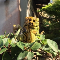 沖繩見學