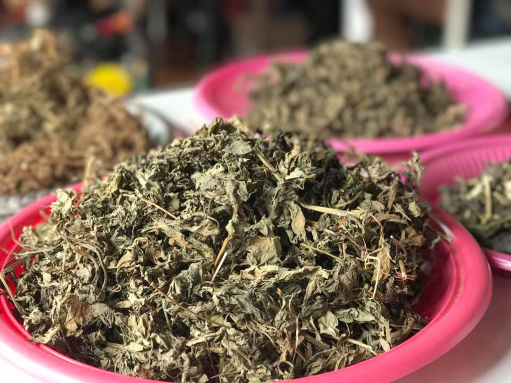 萬華製造,wanhua,青草振興,萬華青草,herb,Taipei,青草茶,herb alley,青草巷