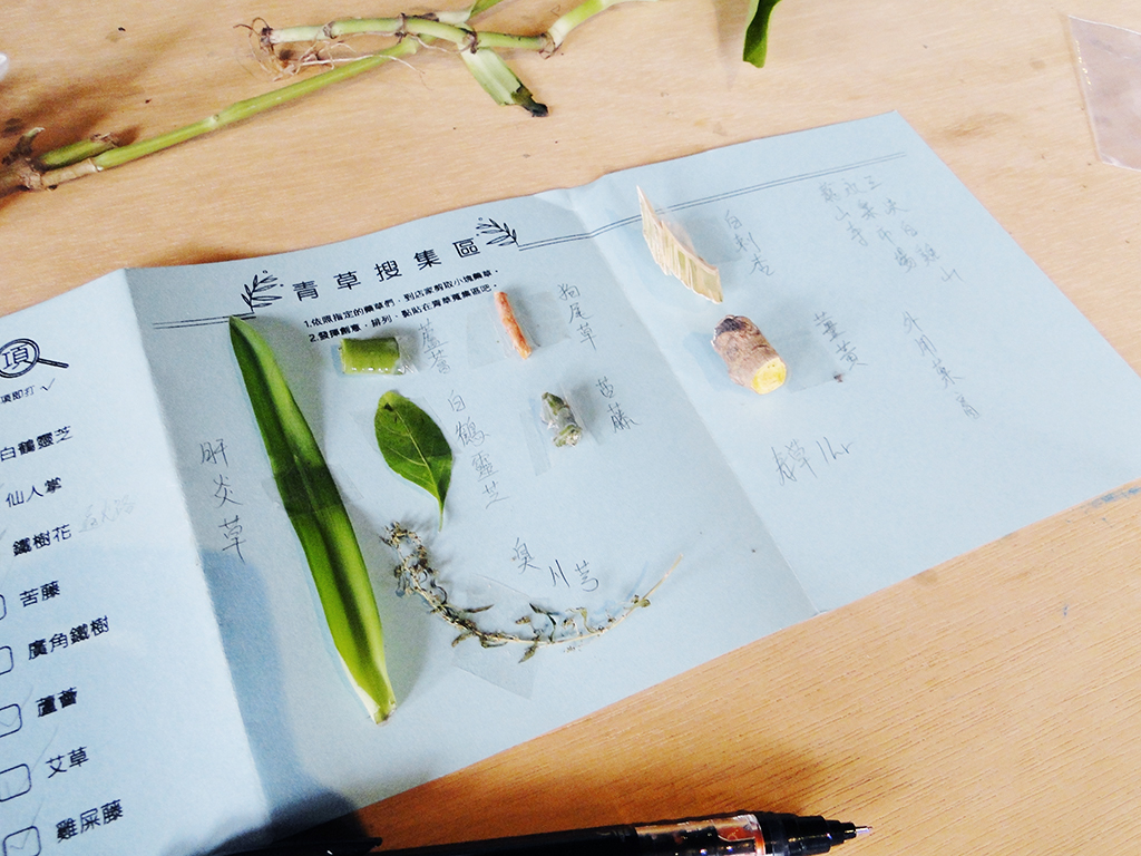 萬華製造,wanhua,青草振興,萬華青草,herb,Taipei,青草茶,herb alley,青草巷