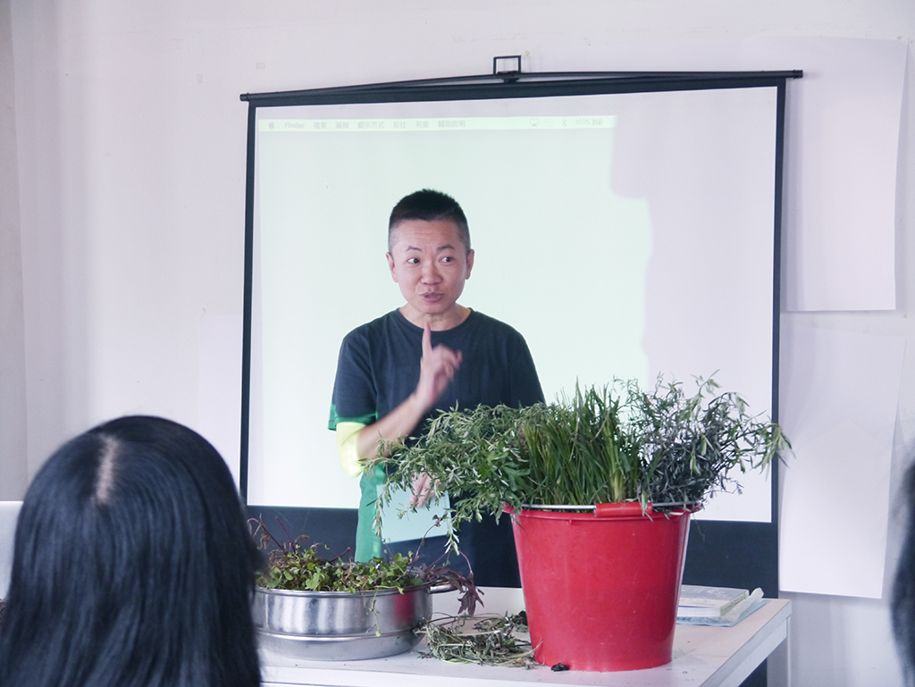 萬華製造,wanhua,青草振興,萬華青草,herb,Taipei,青草茶,herb alley,青草巷