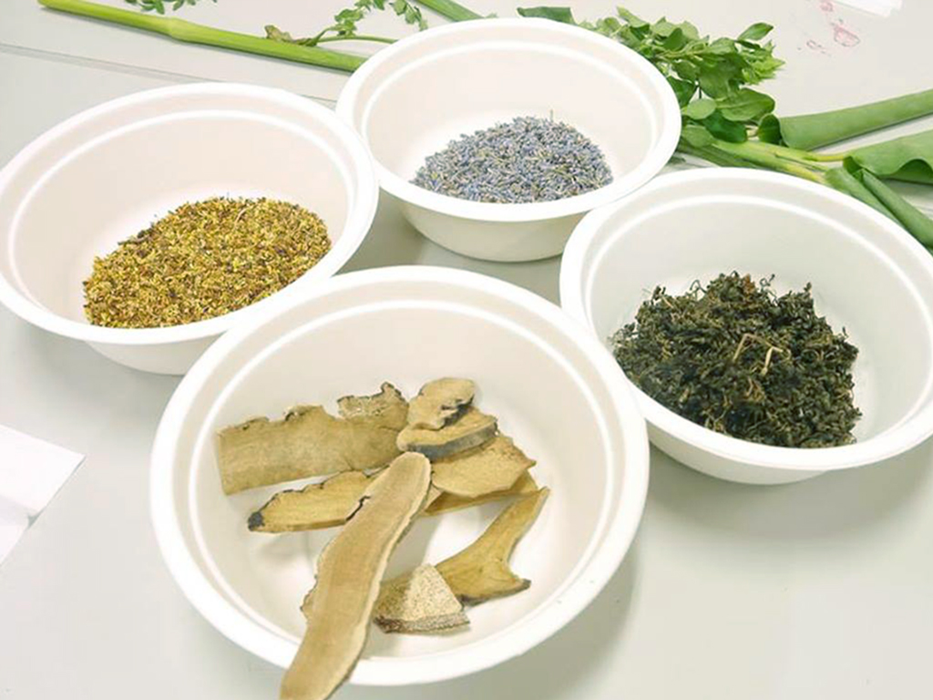 萬華製造,wanhua,青草振興,萬華青草,herb,Taipei,青草茶,herb alley,青草巷