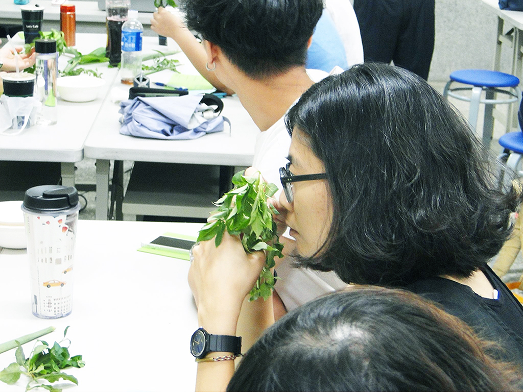 萬華製造,wanhua,青草振興,萬華青草,herb,Taipei,青草茶,herb alley,青草巷