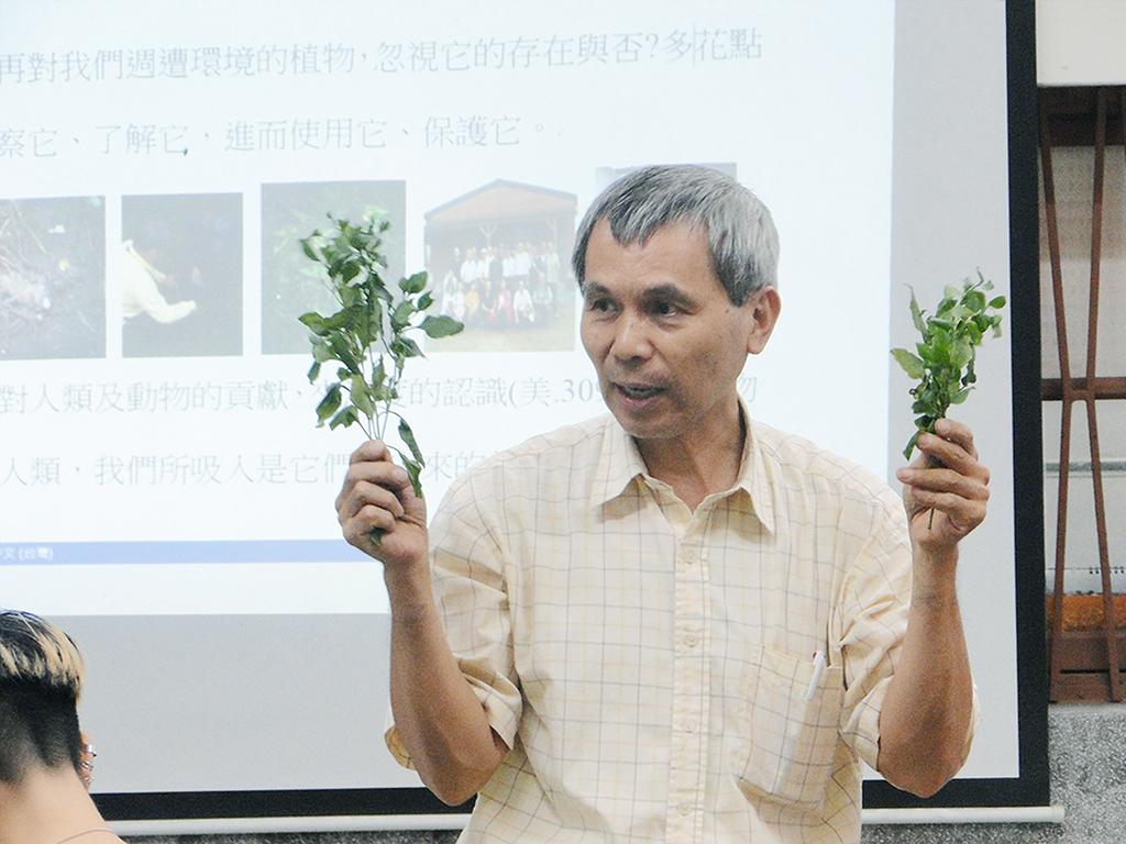 萬華製造,wanhua,青草振興,萬華青草,herb,Taipei,青草茶,herb alley,青草巷