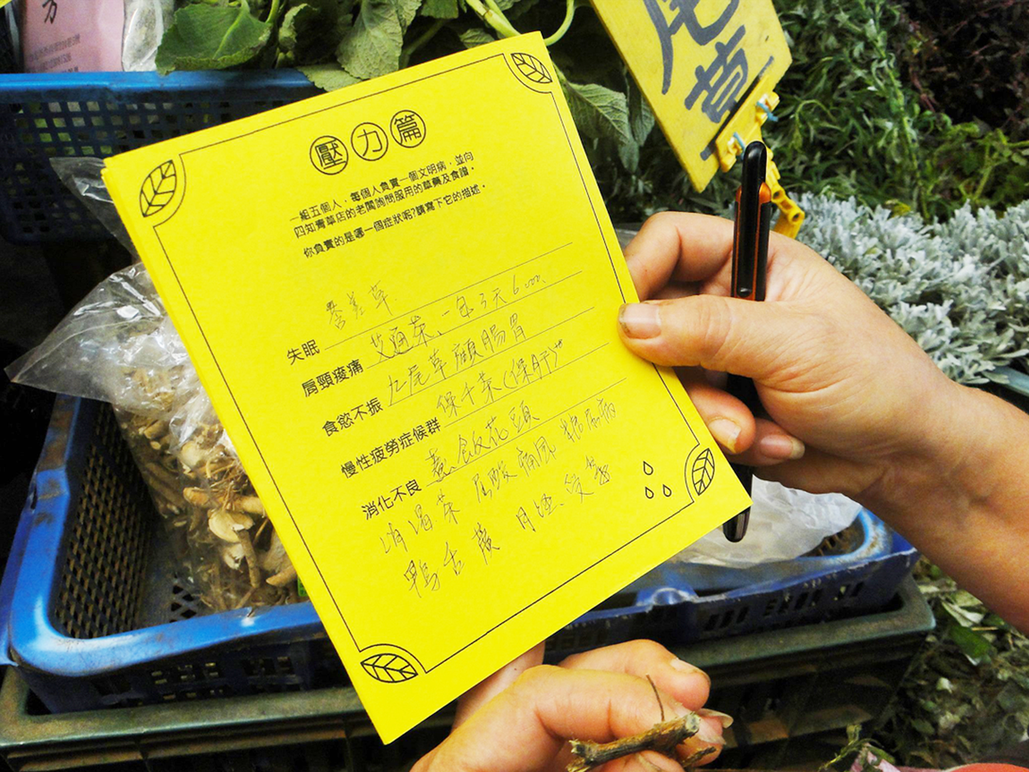 萬華製造,wanhua,青草振興,萬華青草,herb,Taipei,青草茶,herb alley,青草巷