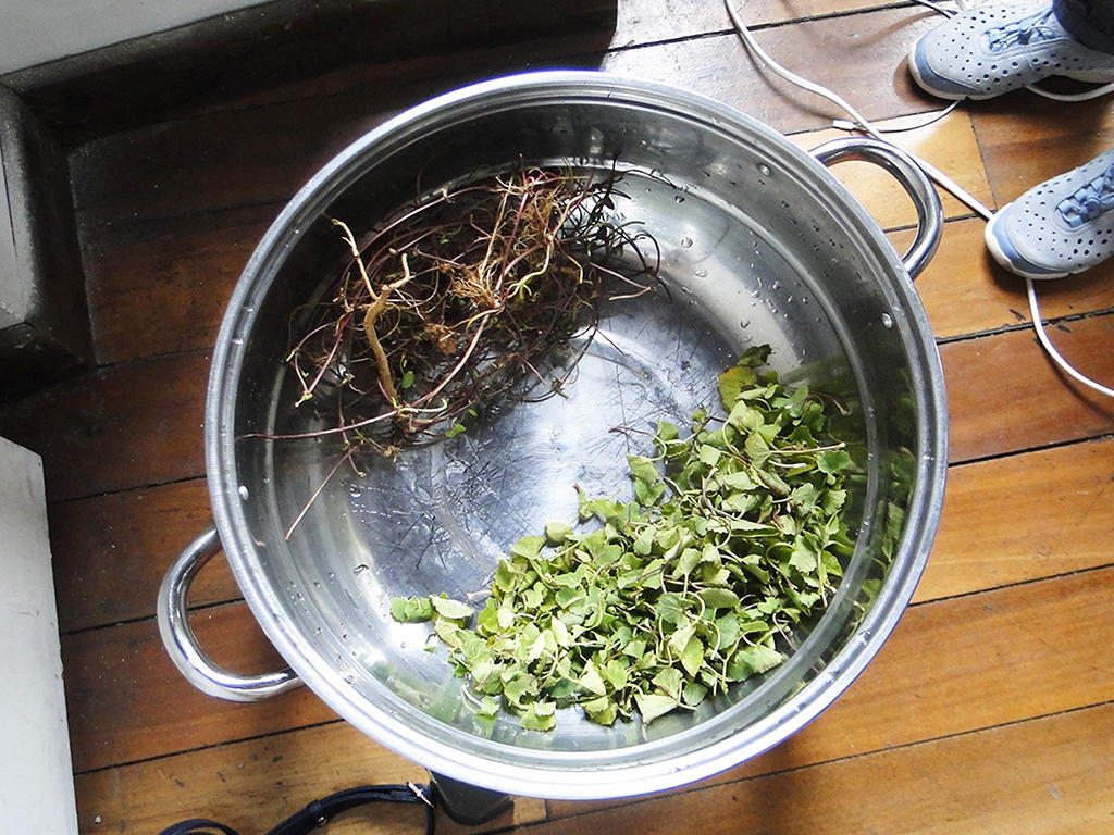 萬華製造,wanhua,青草振興,萬華青草,herb,Taipei,青草茶,herb alley,青草巷