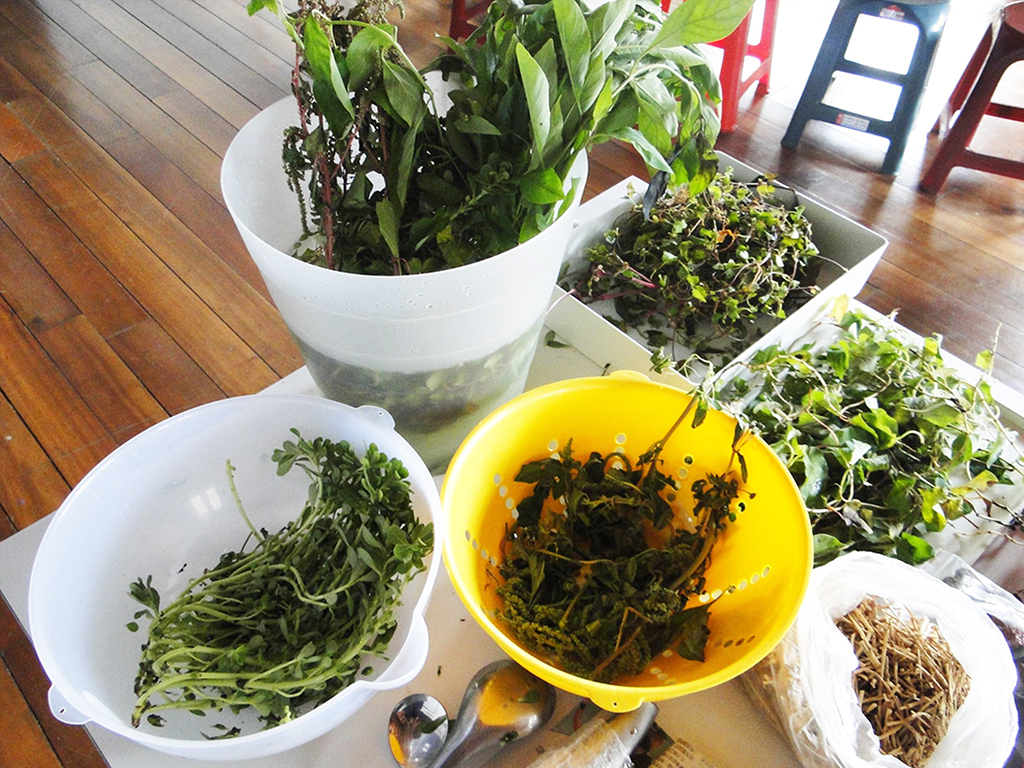 萬華製造,wanhua,青草振興,萬華青草,herb,Taipei,青草茶,herb alley,青草巷
