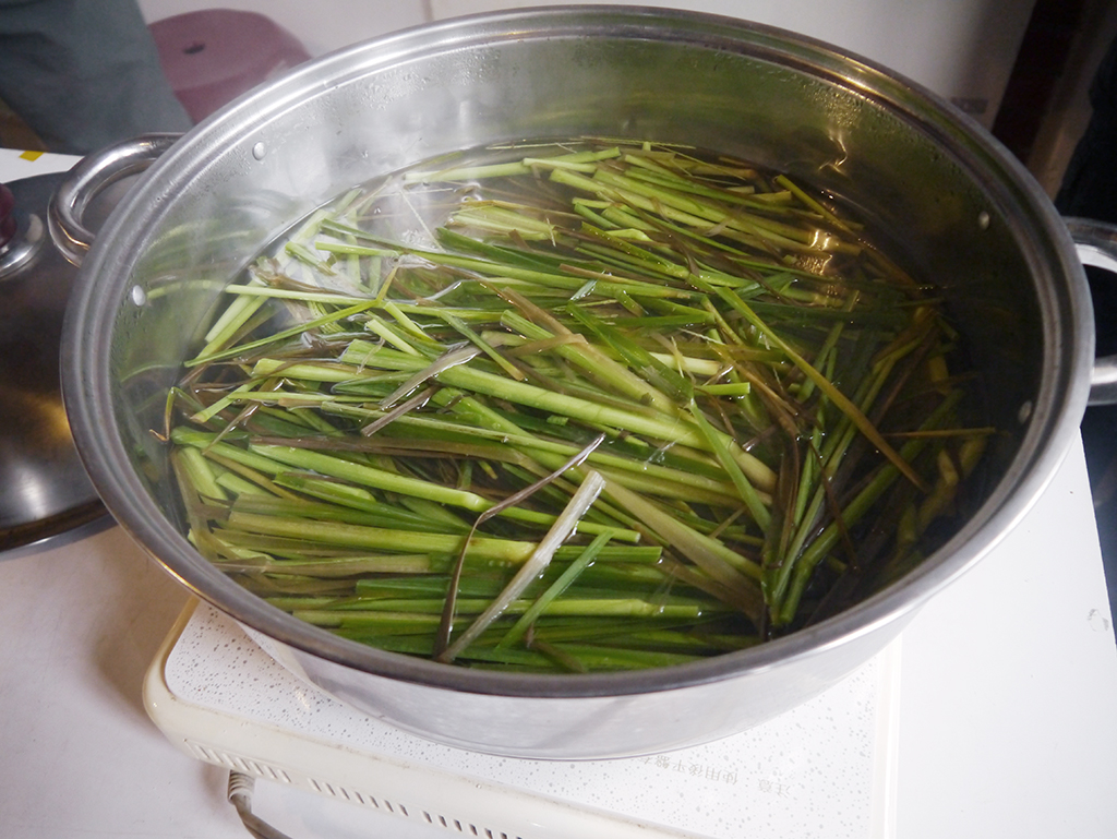 萬華製造,wanhua,青草振興,萬華青草,herb,Taipei,青草茶,herb alley,青草巷
