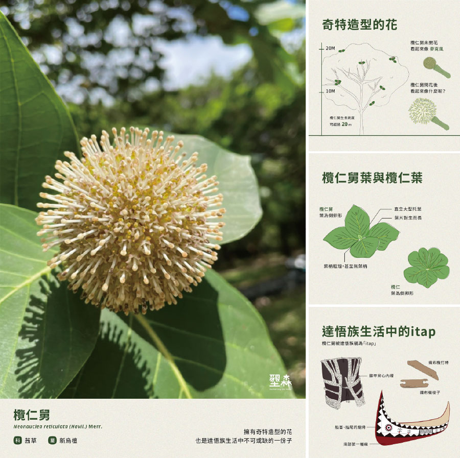都市酵母, 水越設計, 教育, 設計教育, 創新教育, 墾丁, 世界, SDGs, 永續發展計畫, cityyeast, AGUADesign, 地球, 跨領域, 美學, 森林, 社會設計, 品牌, 墾丁國家森林遊樂區, 墾森, 南台灣, 屏東, 恆春, 熱帶森林, 珊瑚礁, social design, 地方創生, 林務局, 林務局屏東林管處, 觀海樓