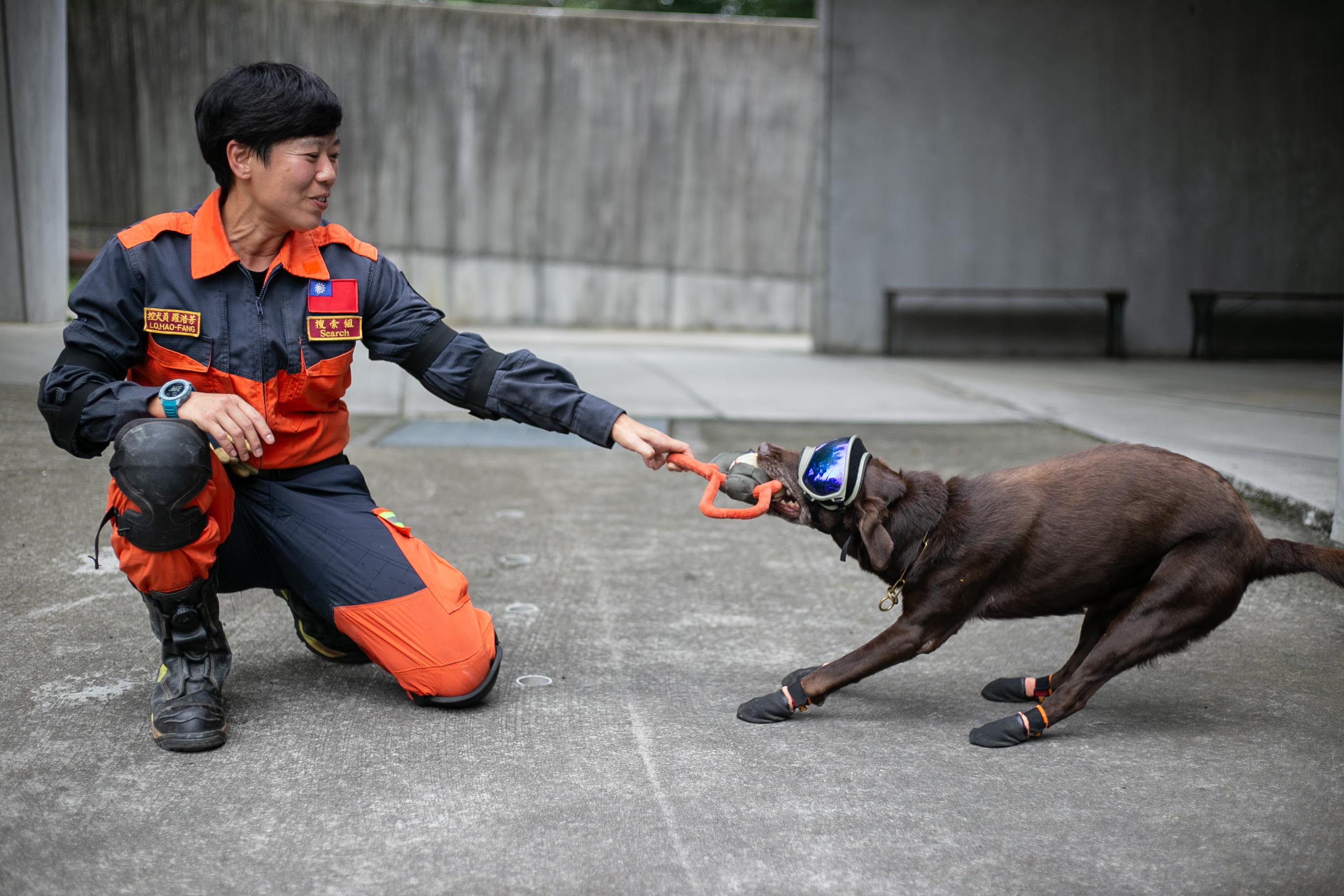搜救犬隊10
